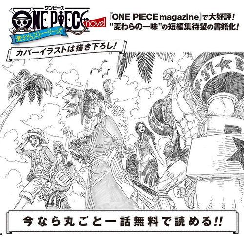 海贼王故事背景介绍,梦想与冒险交织的海洋传奇